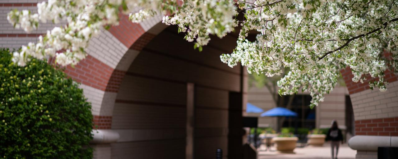 Application Cognate Courses The Department of Statistics Grand